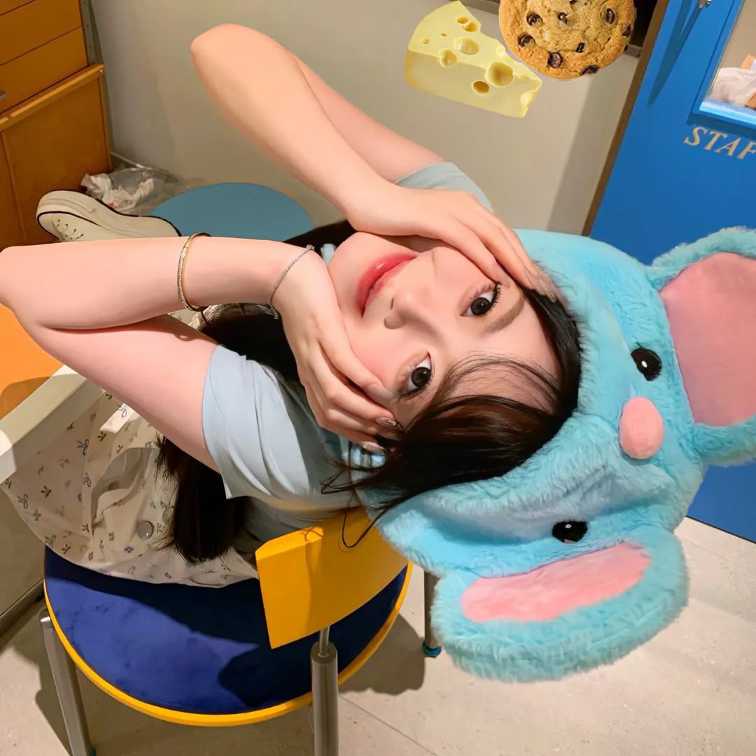 丑小鸭天鹅